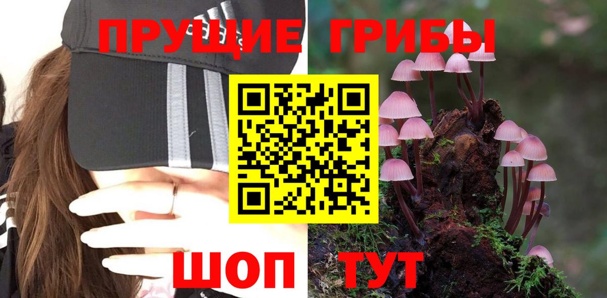продажа наркотиков  Вход с VPN  Советская Гавань  Псилоцибиновые грибы Psilocybine cubensis 